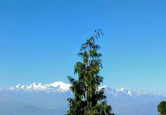 The Mountain View Daire Darjeeling  Dış mekan fotoğraf